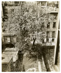 Mme W H Wells 265 W 11th