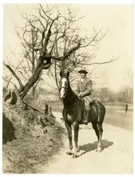 Roland Young, vers 1905-27