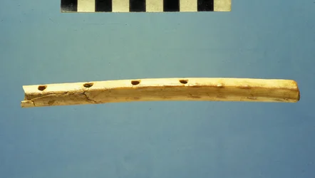 Flûte, Cité de David, vers 799-600 av. J.-C.