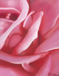 Pétales de rose rose pâle