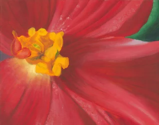 Fleur rouge éclatante