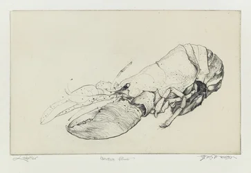 Homard