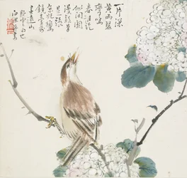 Un Hwamei chinois, 1857