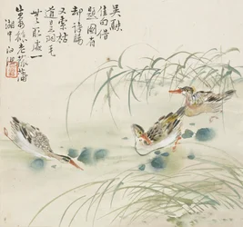 Trois canards nageant dans une piscine, 1857