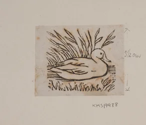 Un canard