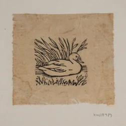 Un canard
