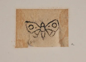 Insecte