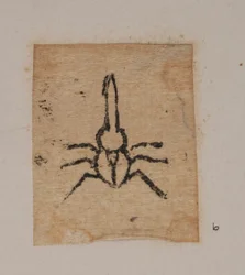 Insecte