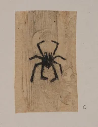 Insecte