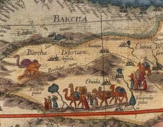 Carte de l