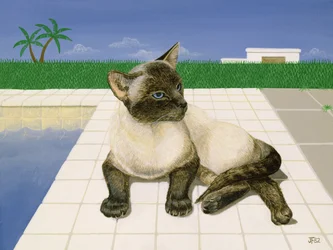 Chat siamois près d
