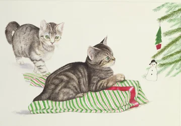 Deux chatons