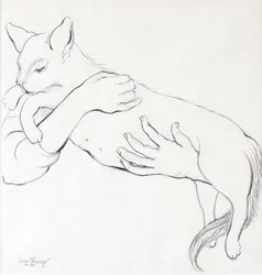 Chat câlin, 2000
