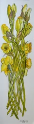 Jonquilles