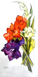 Glaïeuls