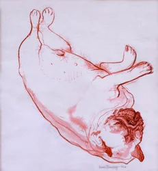 Hogarth dormant, 2005