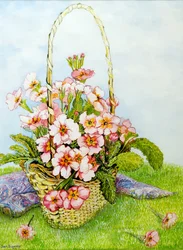 Primevères roses dans un panier de fleuriste avec une écharpe paisley