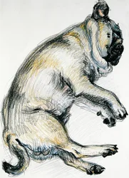 Carlin endormi, 2000