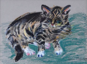 Chat tigré