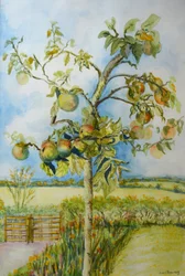Le pommier