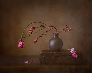 Nature morte aux fleurs de cerisier