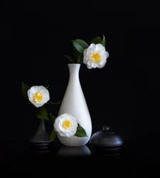 Nature morte aux camélias blancs