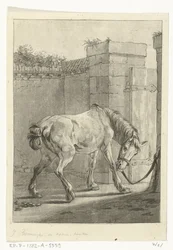 Un cheval attaché à un poteau
