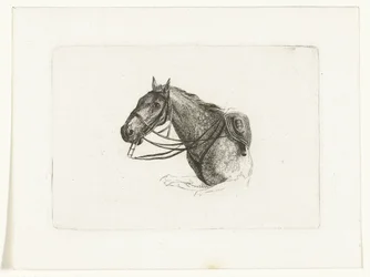 Tête de cheval vers la gauche