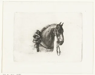 Tête de cheval vers la droite