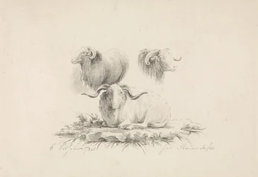 Études d