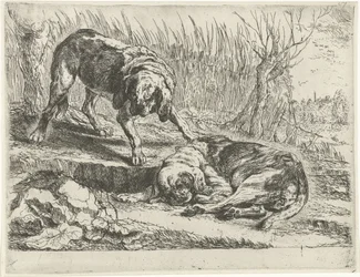 Deux chiens