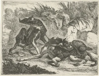 Deux chiens
