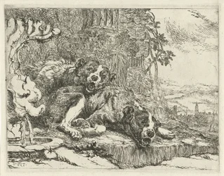 Deux chiens couchés