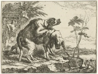 Deux chiens s