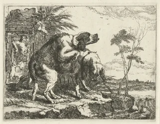 Deux chiens s