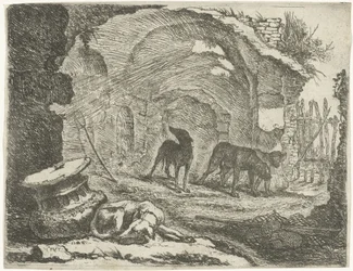 Quatre chiens près d
