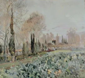 Paysage