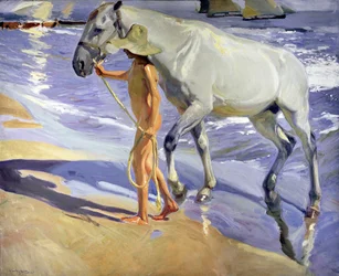 Le bain du cheval
