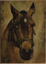 Tête de cheval