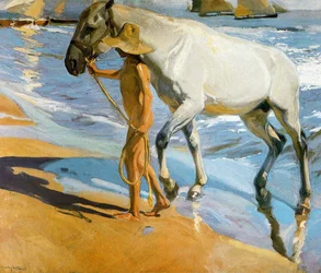 Le bain du cheval