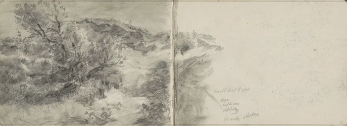 Paysage de dunes