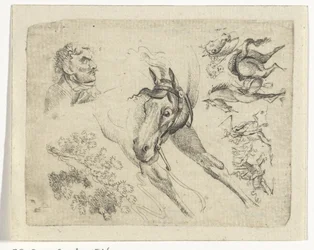 Étude de chevaux, un homme et une branche