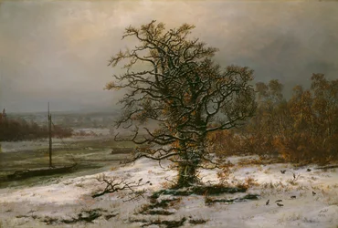 Chêne par l