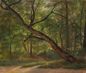 Vue dans le Grand Jardin près de Dresde