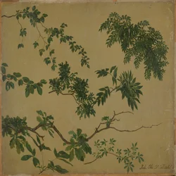 Étude de brindilles et de feuilles