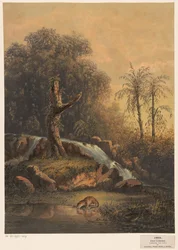 Paysage avec cascade et léopard buvant