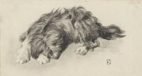 Chien endormi