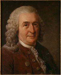 Portrait de Carl Linnaeus