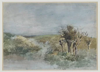 Paysage avec saules têtards le long d