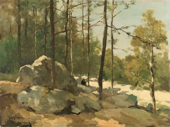 Vue boisée près de Barbizon